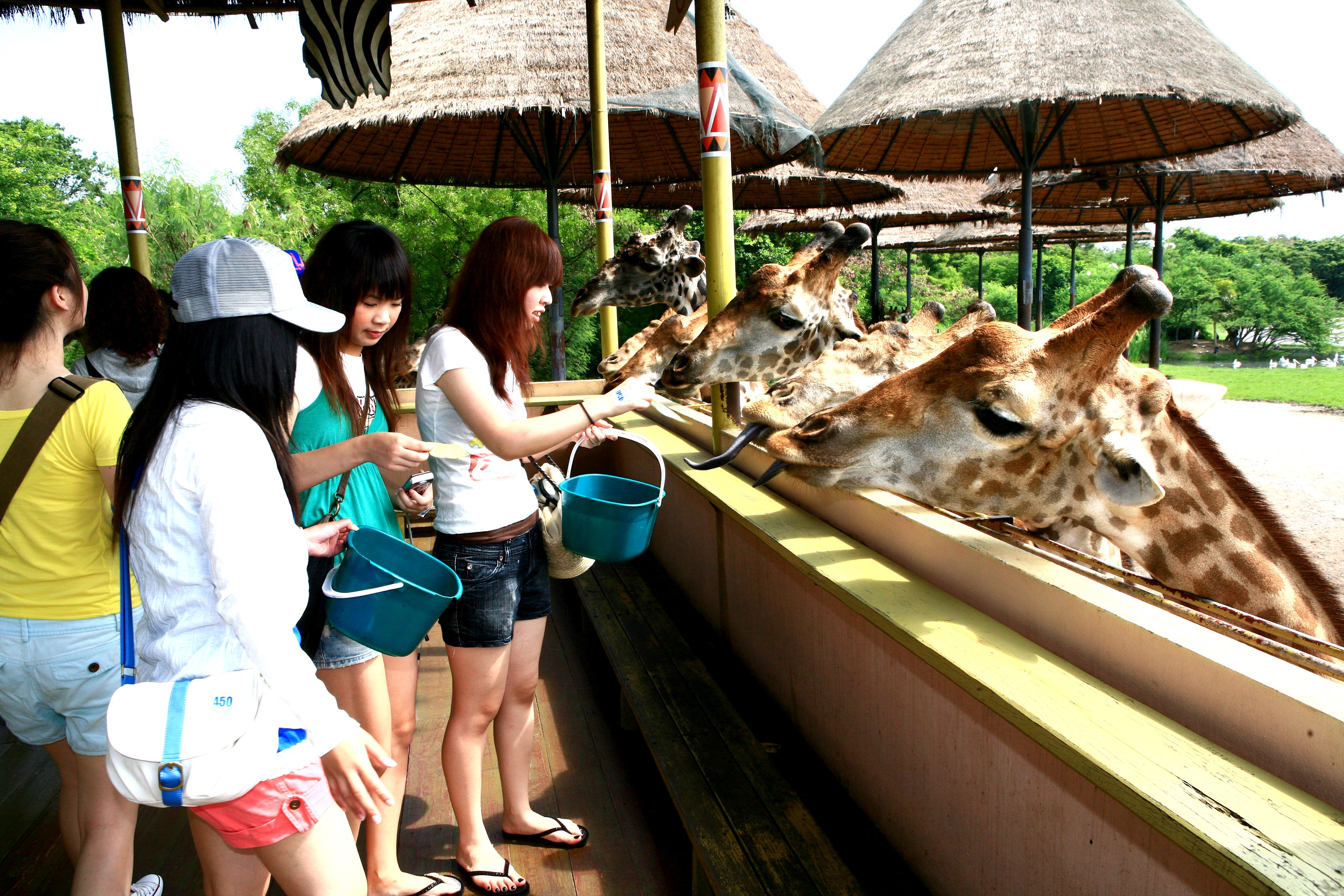 Safariworld04