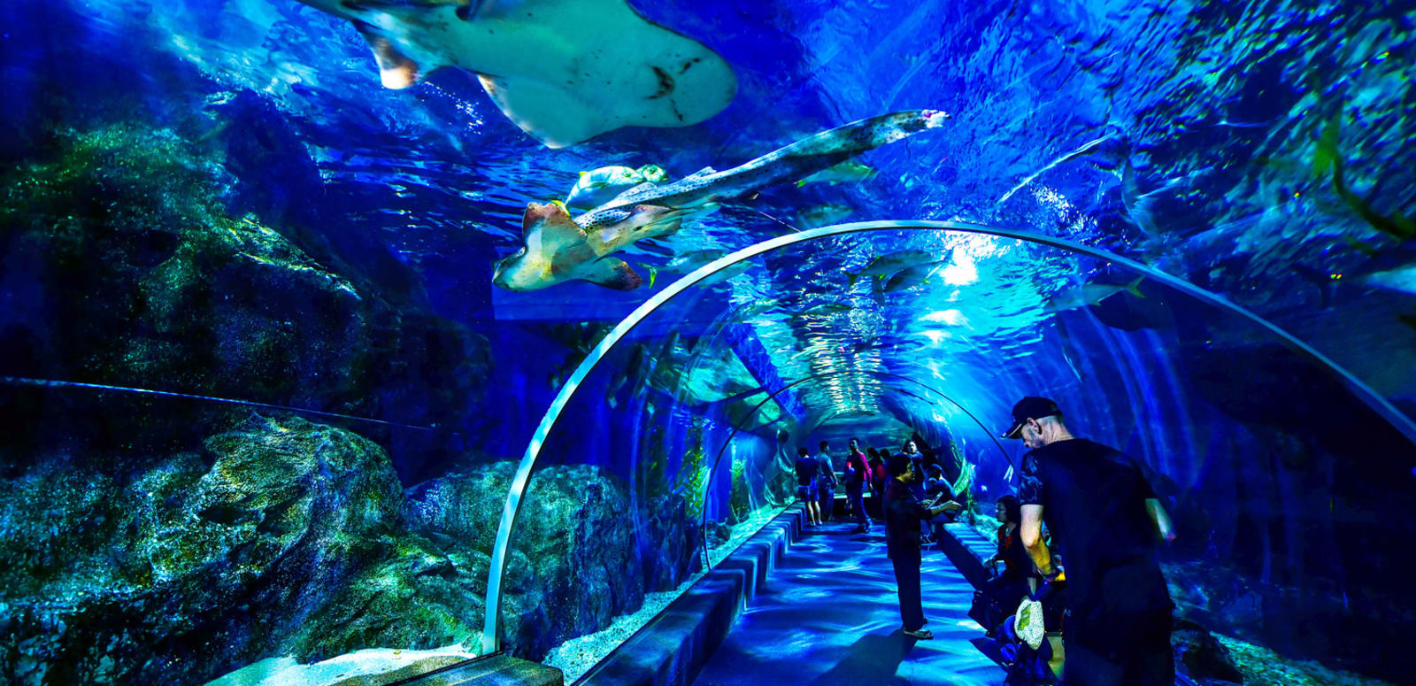 Siam Ocean World