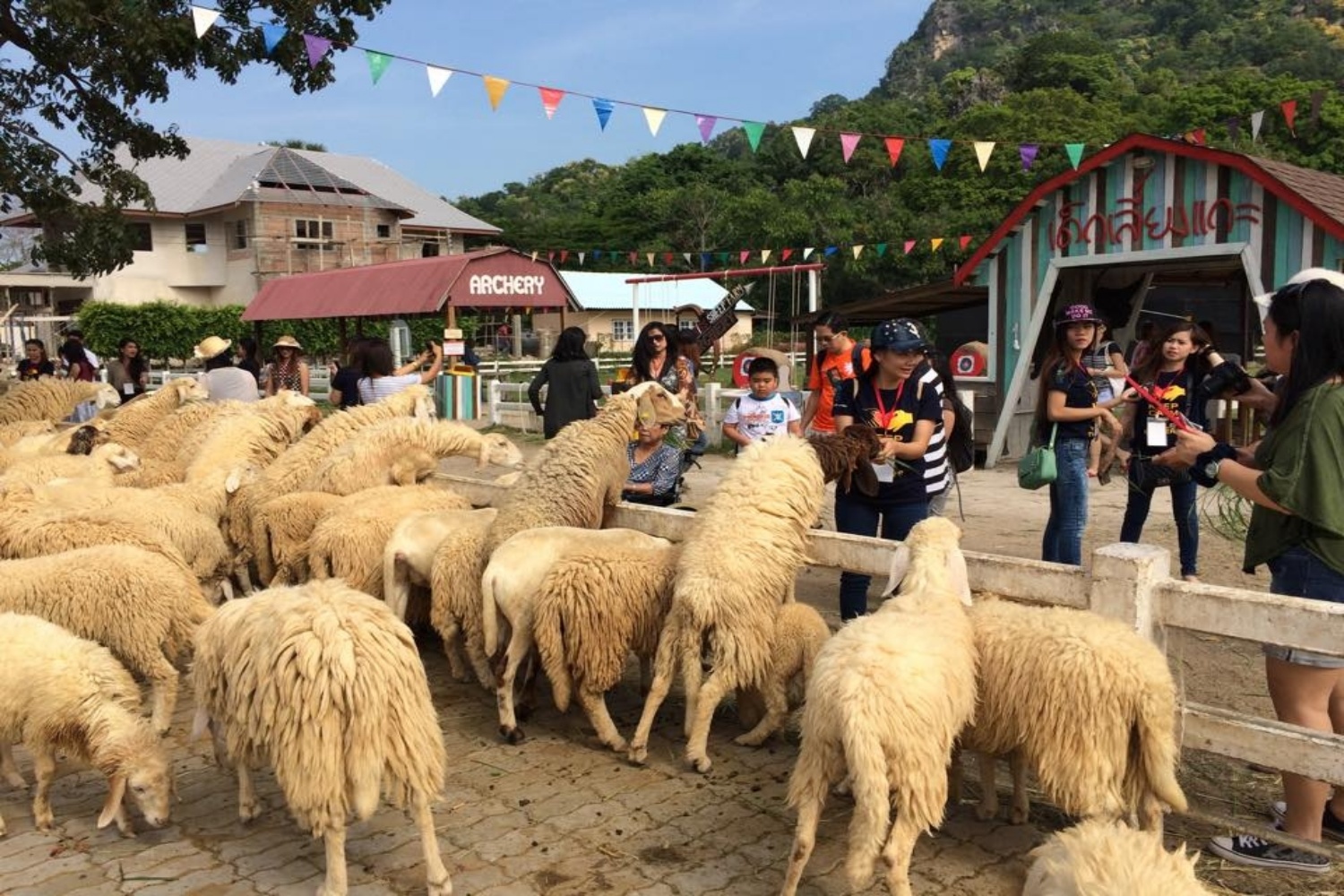 2 Swiss Sheep Farm