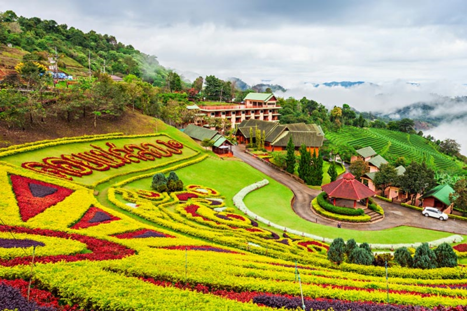 Doi Mae Salong 1