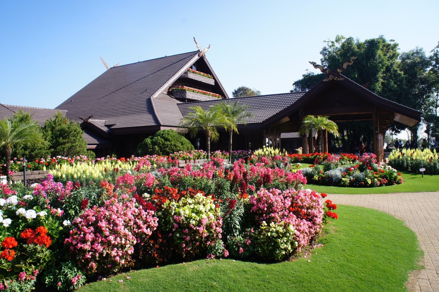 Doi Tung 2