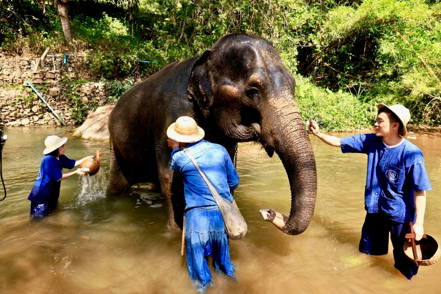 Elephant Care Center 2