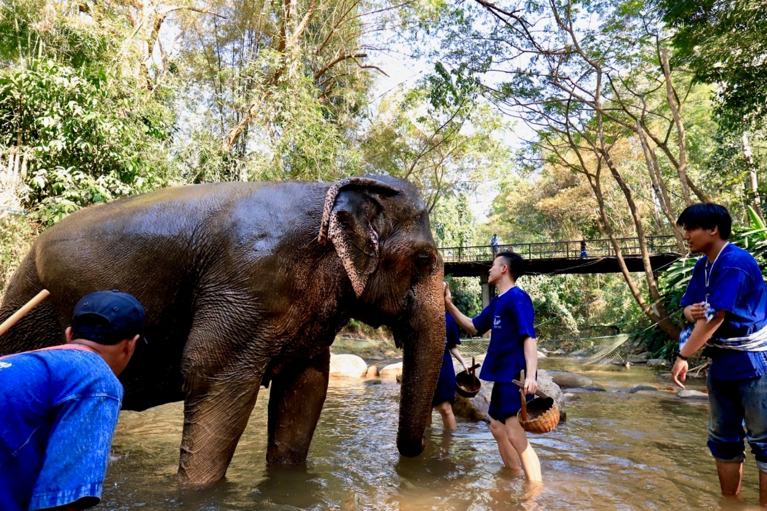 Elephant Care Center 3