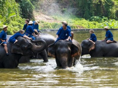 Elephant Care Center 5