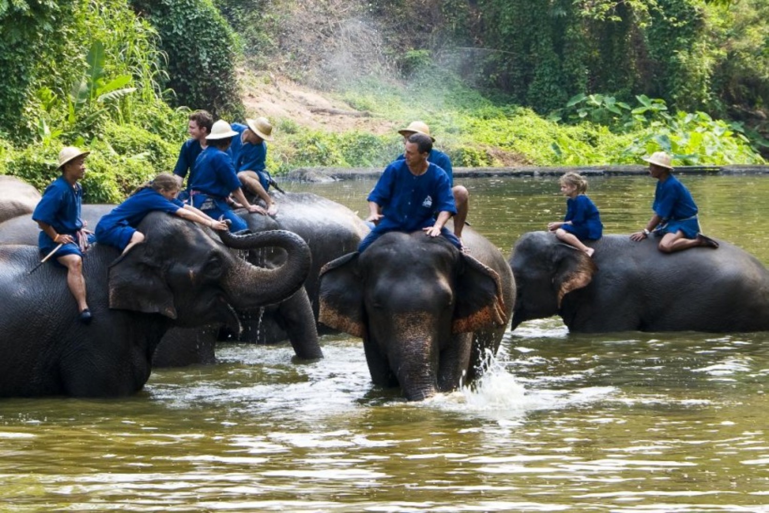 Elephant Care Center 5