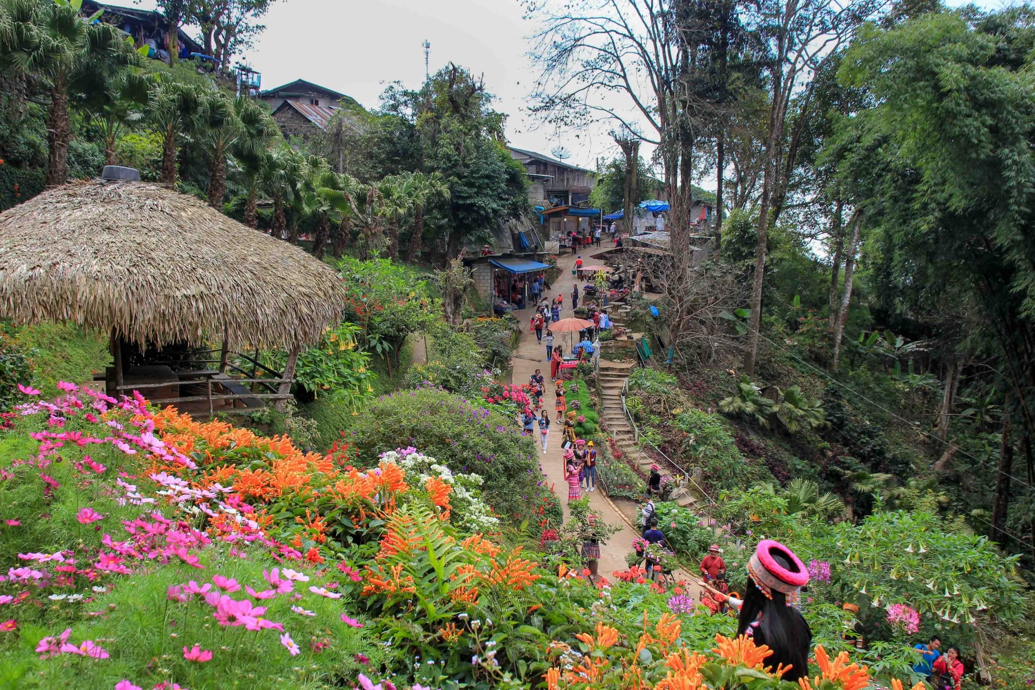 Hmong Village