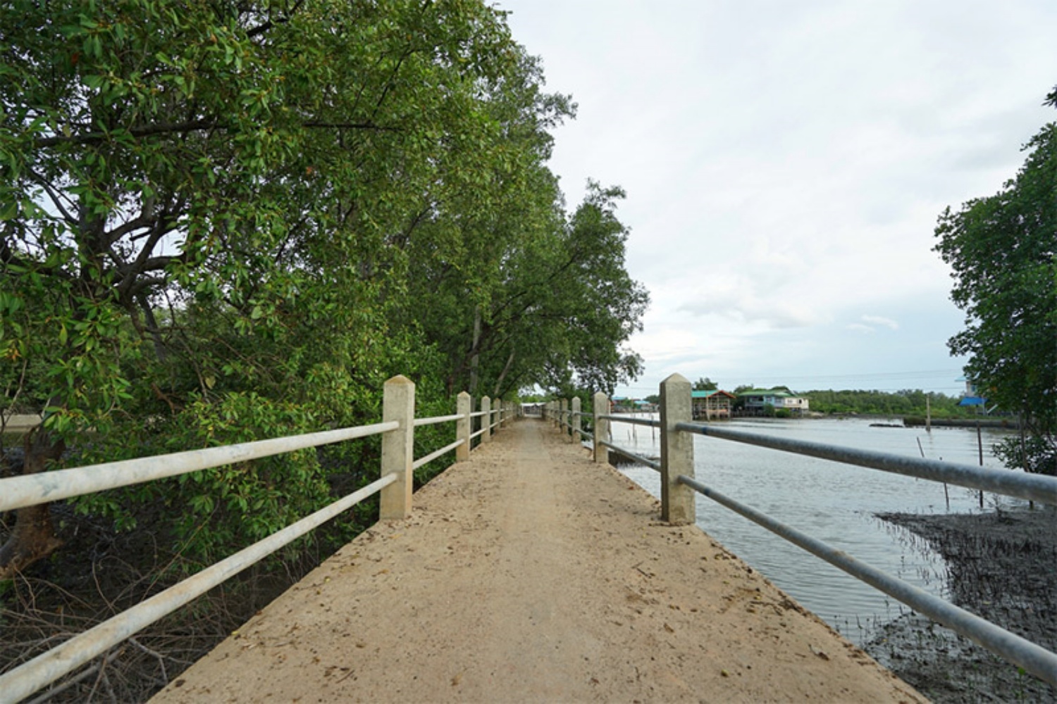 Klong Kone Samut Songkram 2