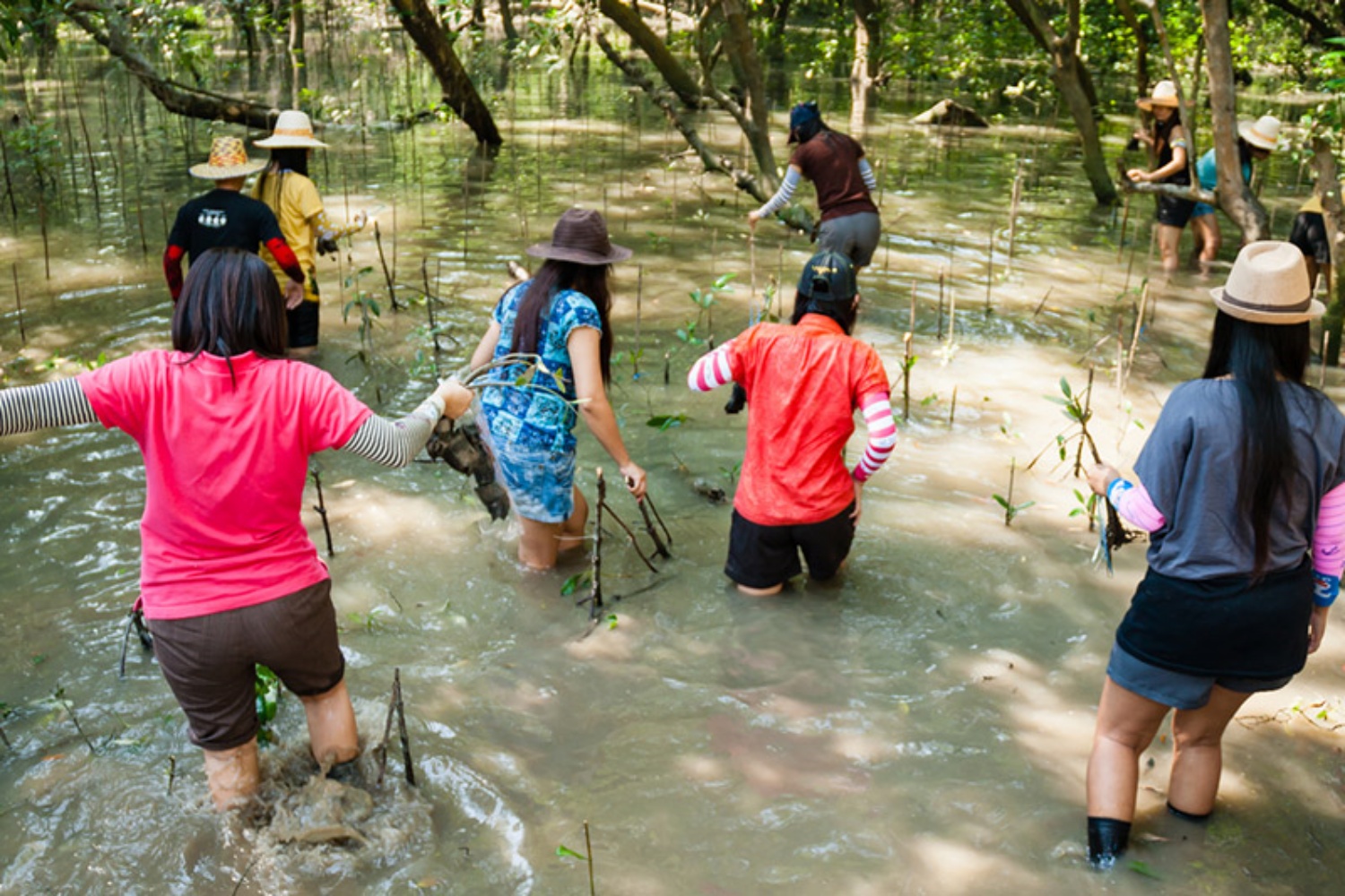 Klong Kone Samut Songkram 5