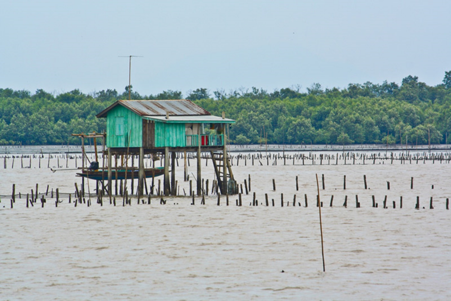 Klong Kone Samut Songkram 9