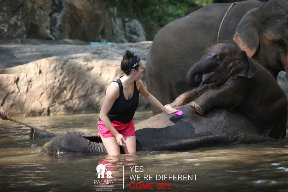 Patara Elephant Farm 3