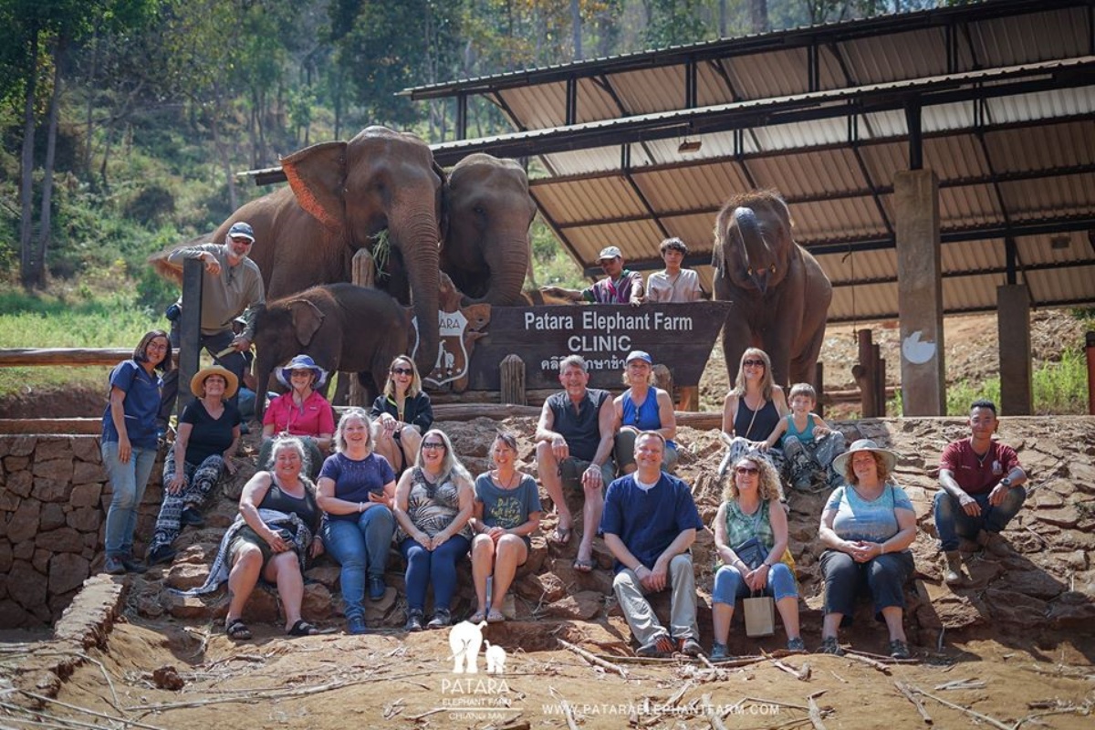 Patara Elephant Farm 4