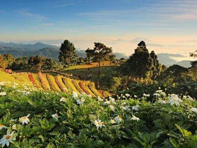 Huay Nam Dung National Park Chiang Mai Thailand