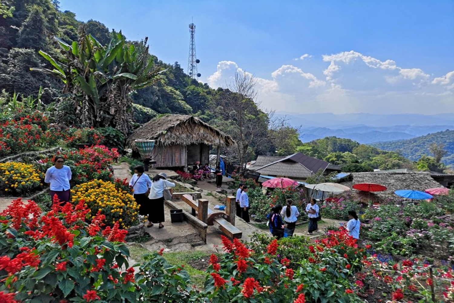 Hmong Village 5