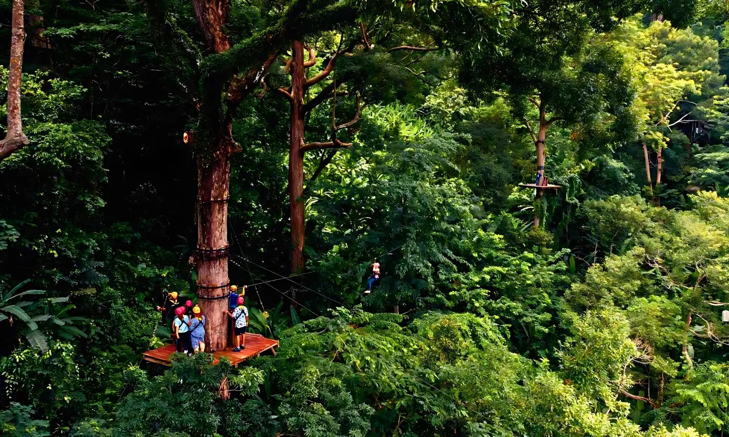 Plateform Zip Line - Flying Hanuman