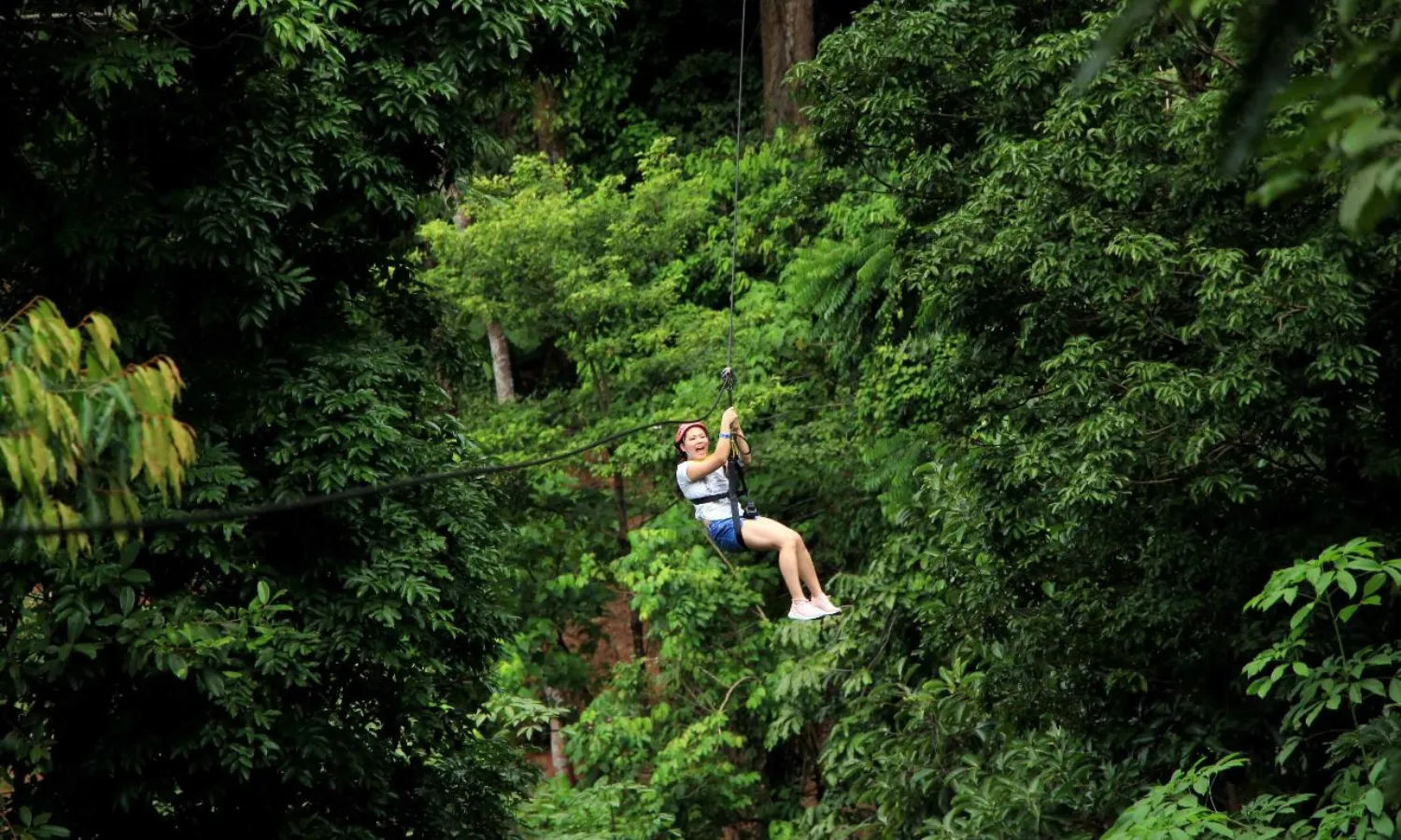 Zip Line - Flying Hanuman