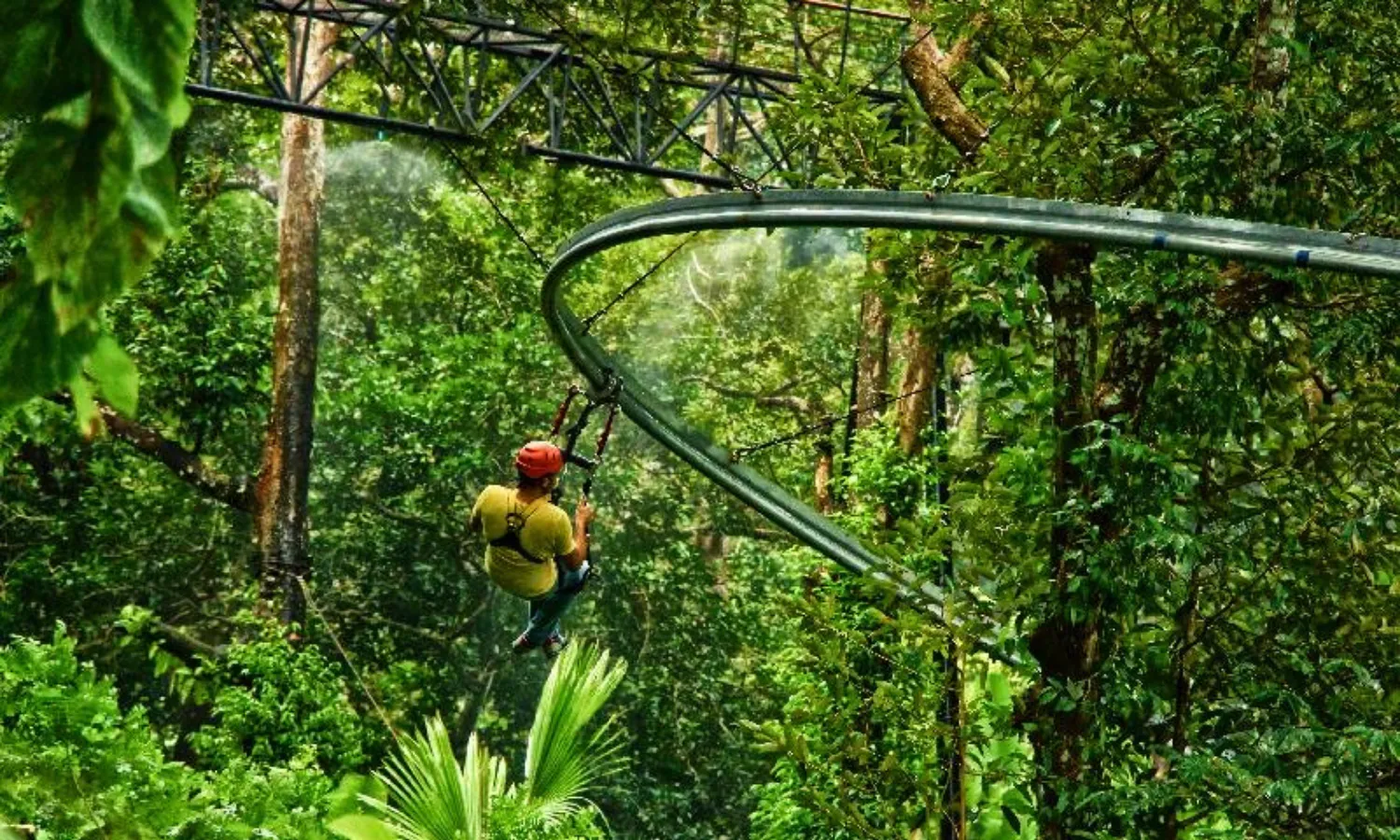 Roller Zipline