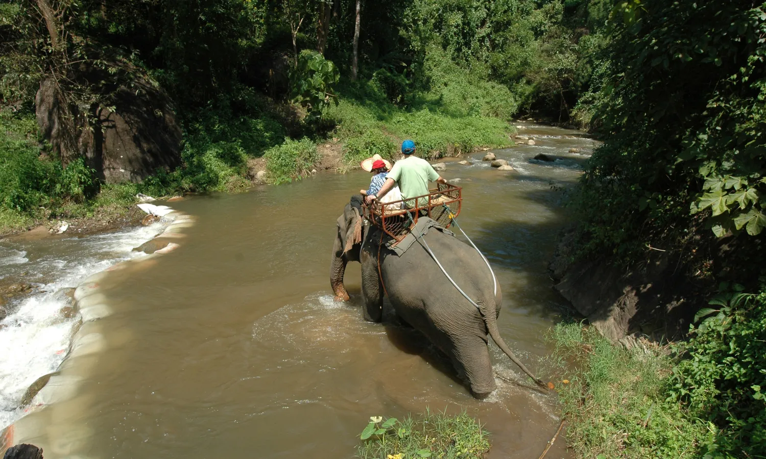 Elephant Trekking Tour In Krabi