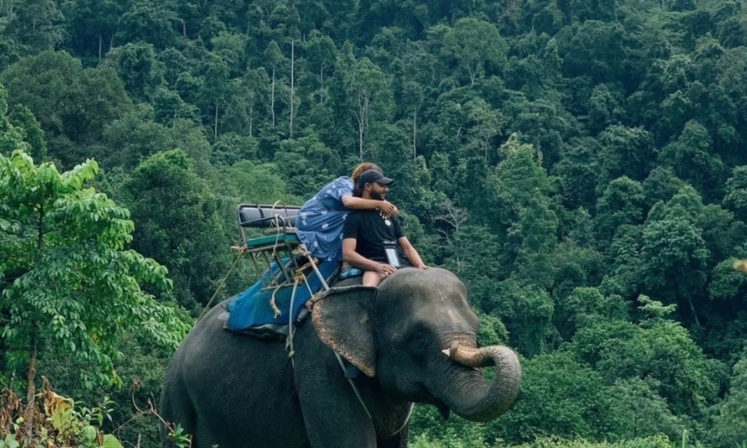 elephant riding phuket