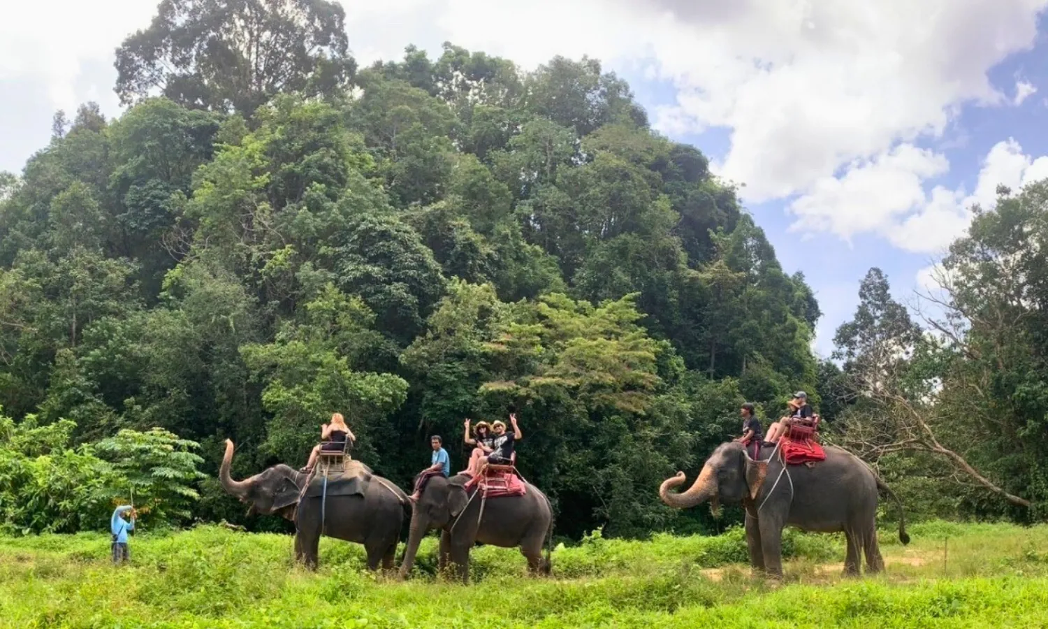 elephant trekking