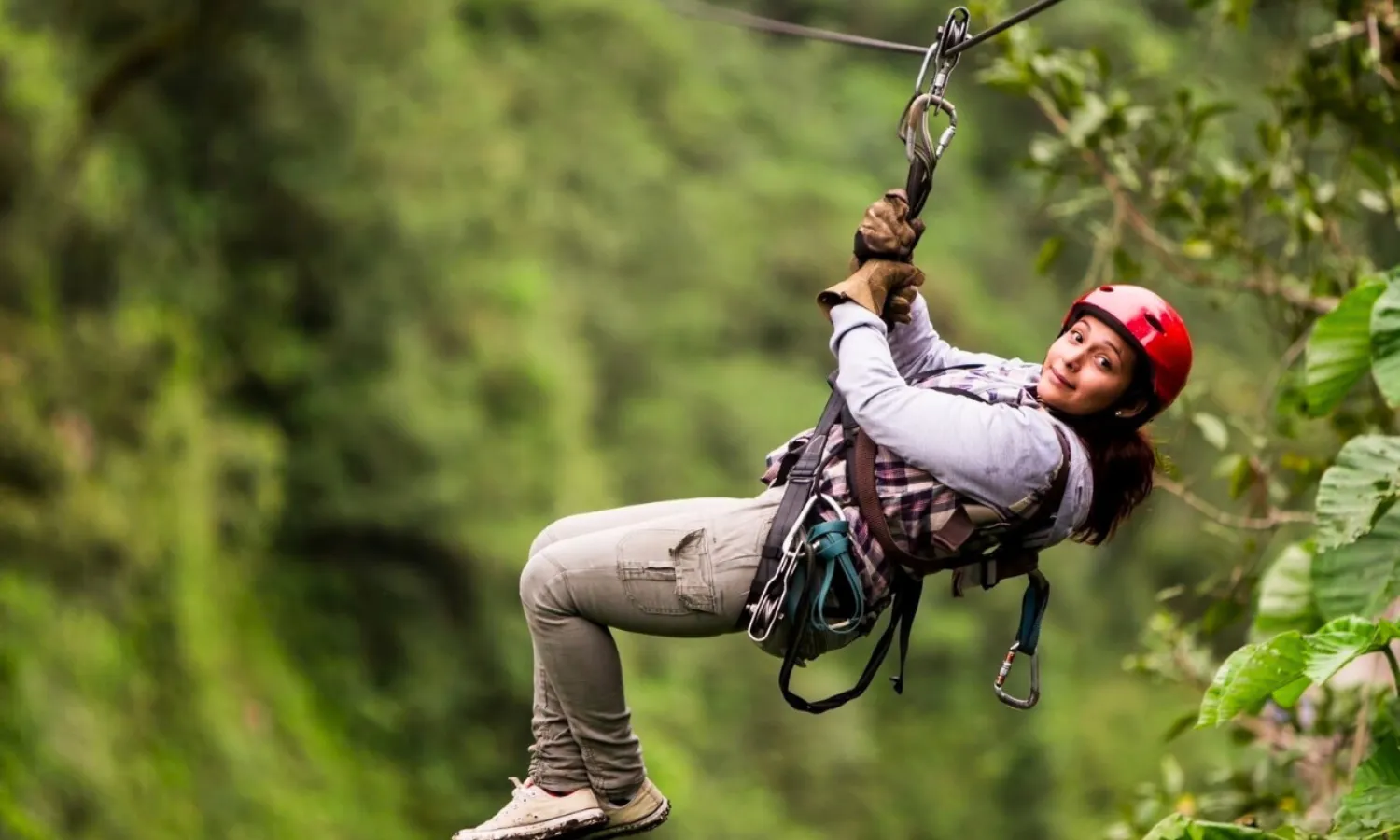 Flying fox phuket