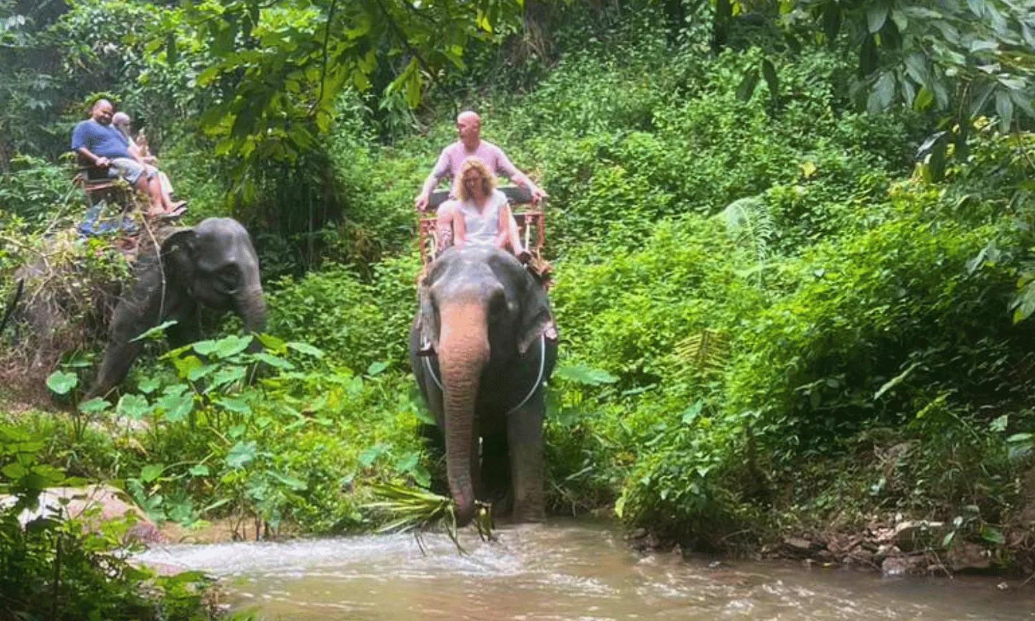 Elephant Trekking