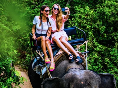 Elephant Trekking And Friends